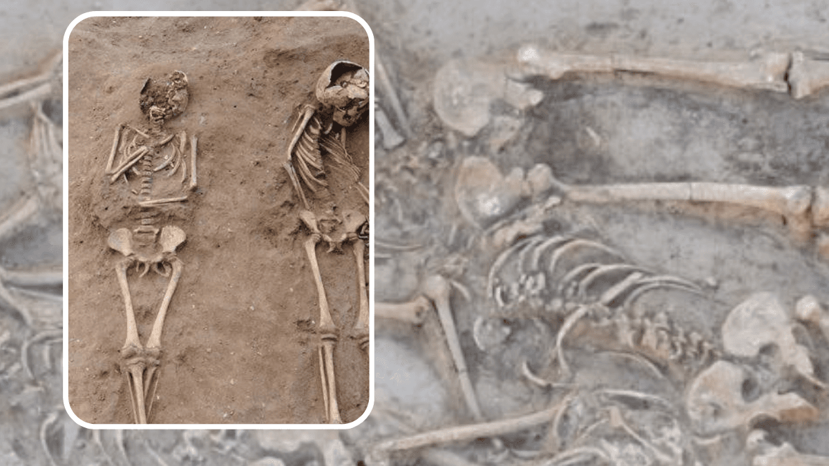 اكتشاف مقبرة جماعية عمرها 7 آلاف عام لعشرات الهياكل العظمية المدفونة