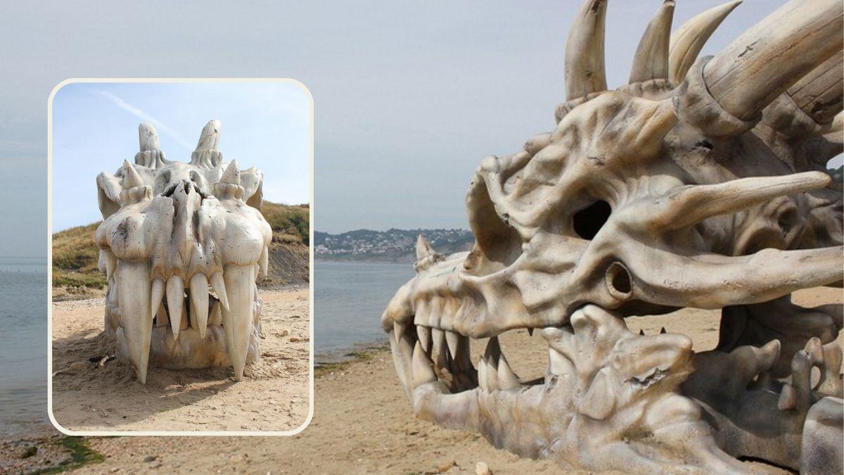 لغز وجود "جمجمة تنين" على رمال شاطئ بريطاني يثير حيرة السكان وتفسيره سيعجبك!