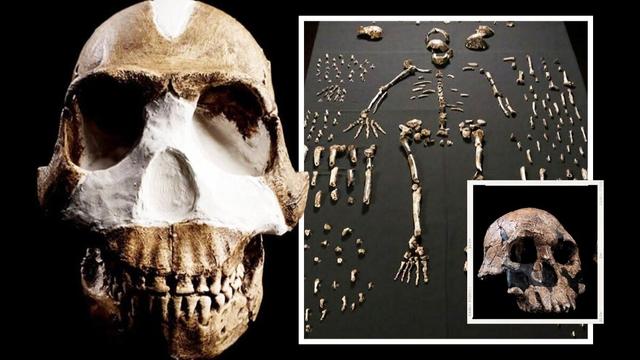 اكتشاف نوع جديد تمامًا من الإنسان القديم في كهف أفريقي!