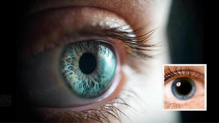 حجم بؤبؤ العين مرتبط بشكل مدهش بالاختلافات في الذكا