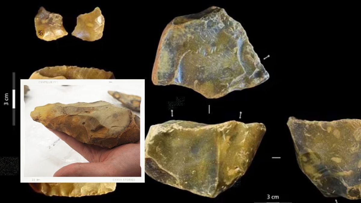 دراسة جديدة تكشف طبيعة حياة رجل الكهف قبل 620 ألف عام!
