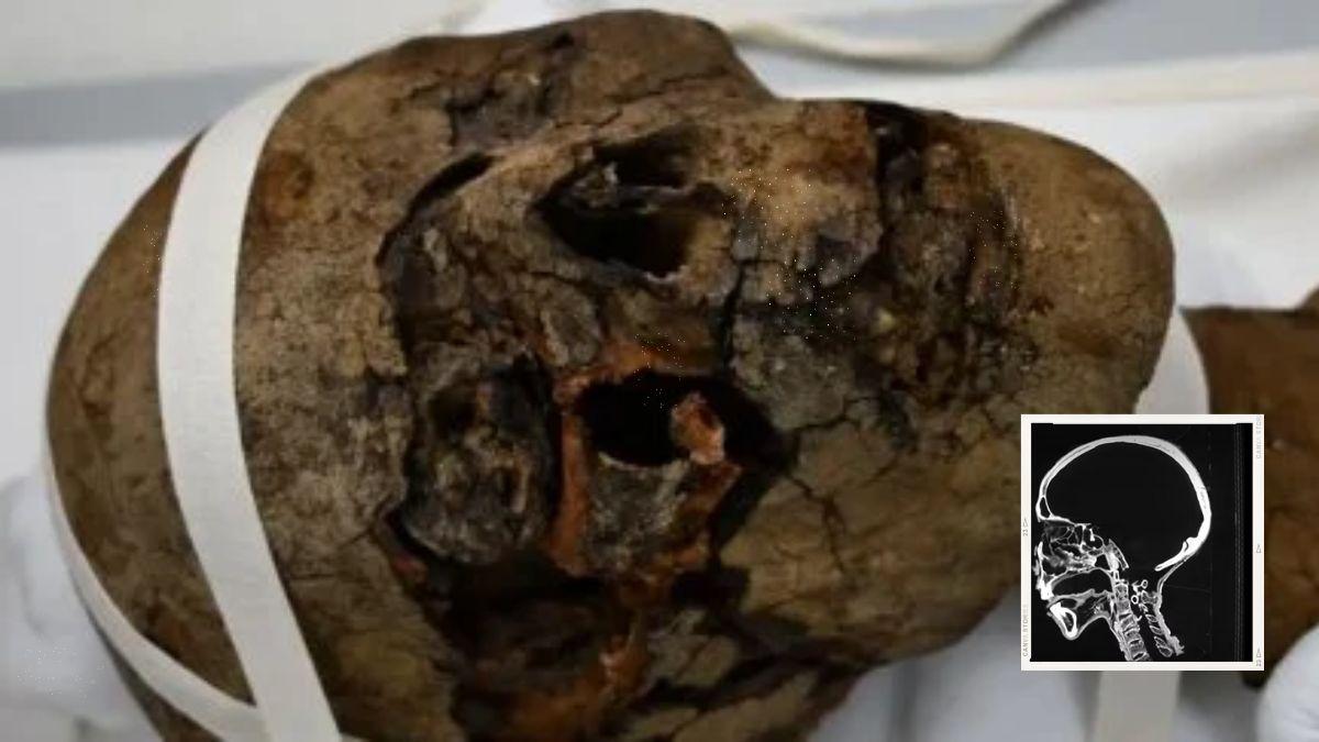 علماء يعثرون على رأس مومياء مصرية مقطوع في عِليّة منزل في نجلترا