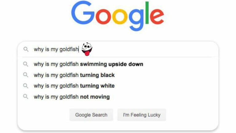 Google ستتوقف قريبًا عن الإجابة على الأسئلة السخيفة!