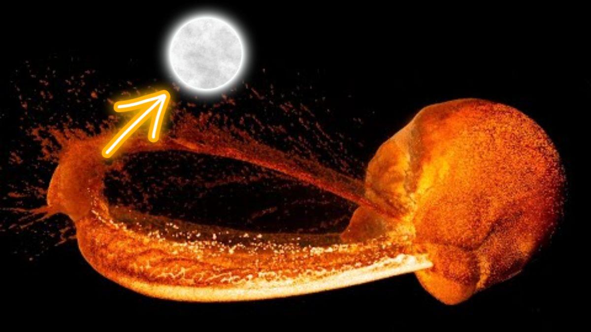 علماء يقدمون نظرية جديدة مفاجئة لكيفية تشكل القمر بغضون ساعات!