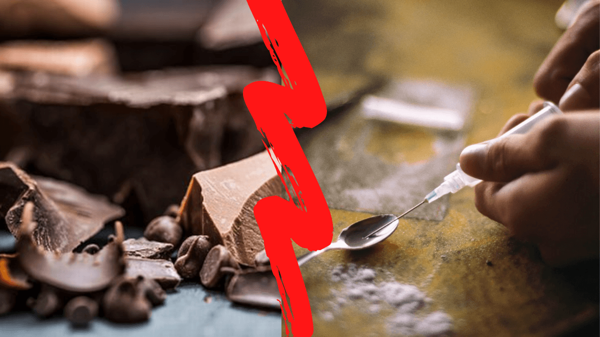 شوكولا بنكهة المخدرات في مصر