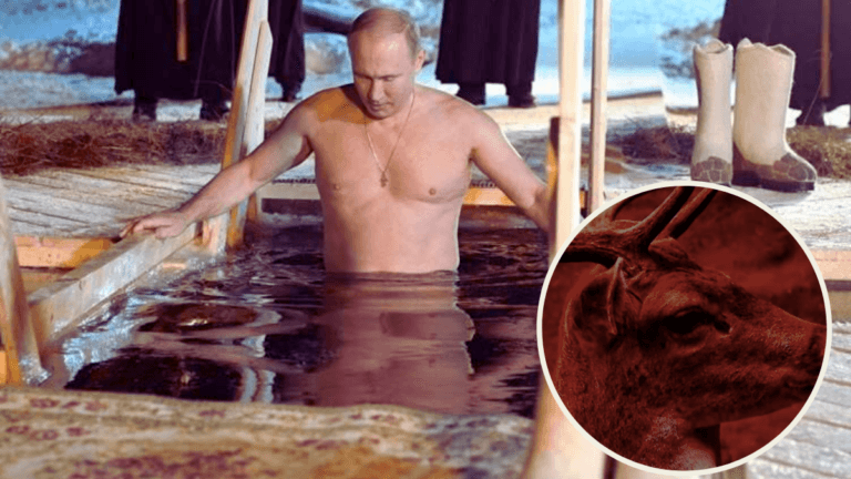 بوتين يستحم بمستخلص من دم قرون الغزلان