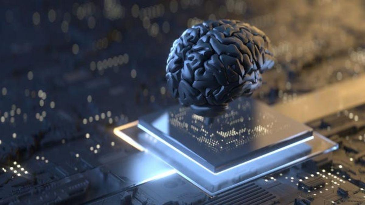 دراسة جديدة تبيّن أنّ الدماغ البشري عبارة عن كمبيوتر كمومي!