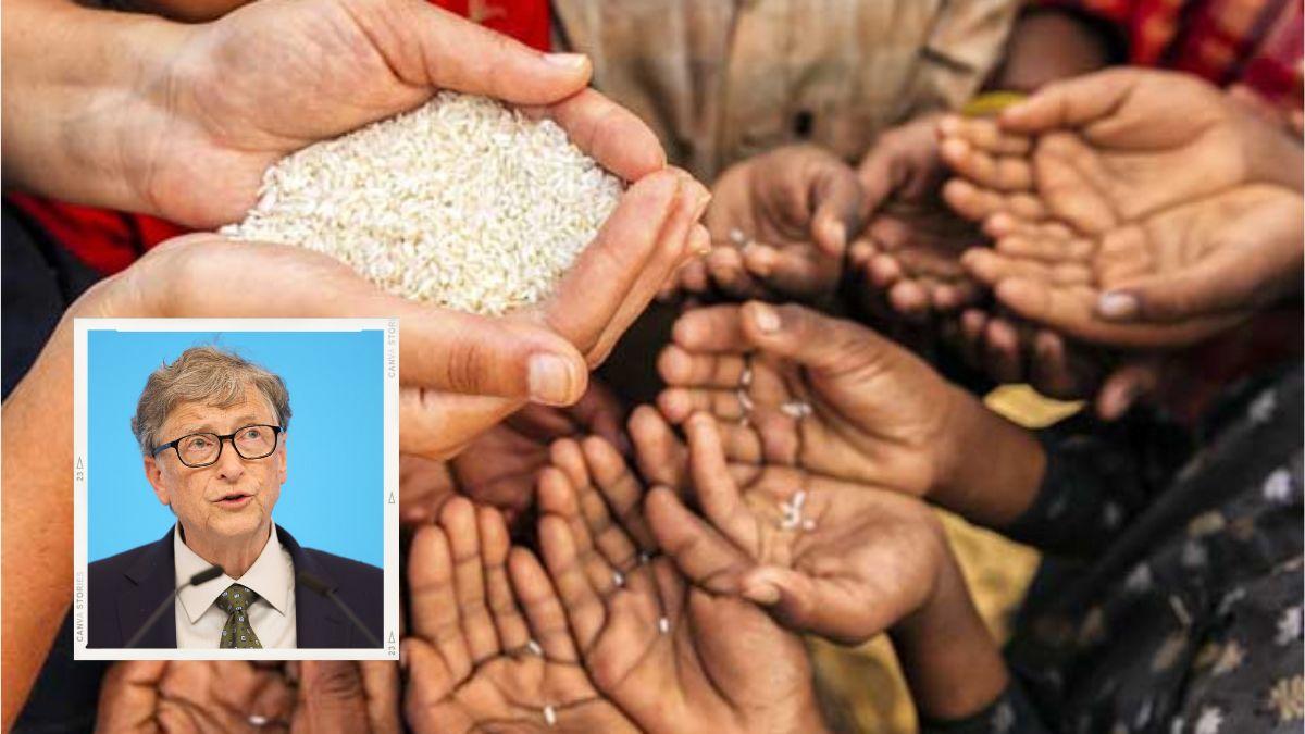 بيل غيتس يتحدث عن “بذور خارقة” يمكنها حل مشكلة الجوع في العالم!