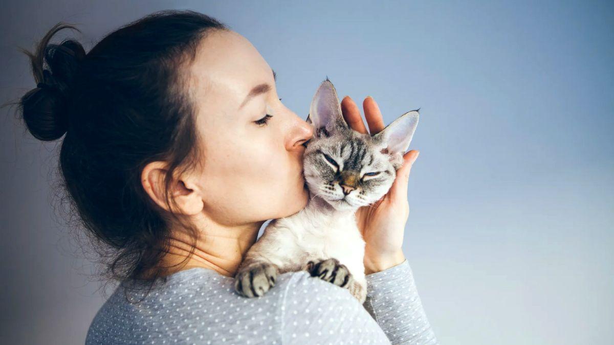 تنادي على قطتك وتتجاهلك؟ دراسة حديثة تبين طريقة بسيطة لتتواصل معها!