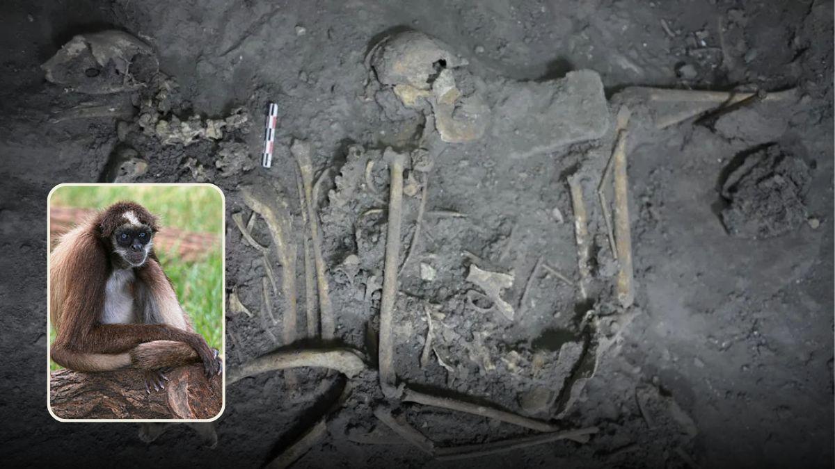 اكتشاف أثري "صادم" يكشف حقائق غريبة حول حضارة المايا!