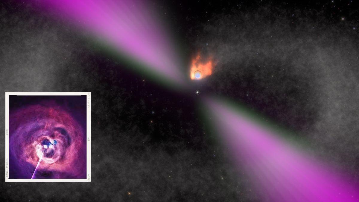 اكتشاف علماء الفلك لثنائي نجمي نادر “أرملة سوداء”  يتغذى أحدهما على الآخر!