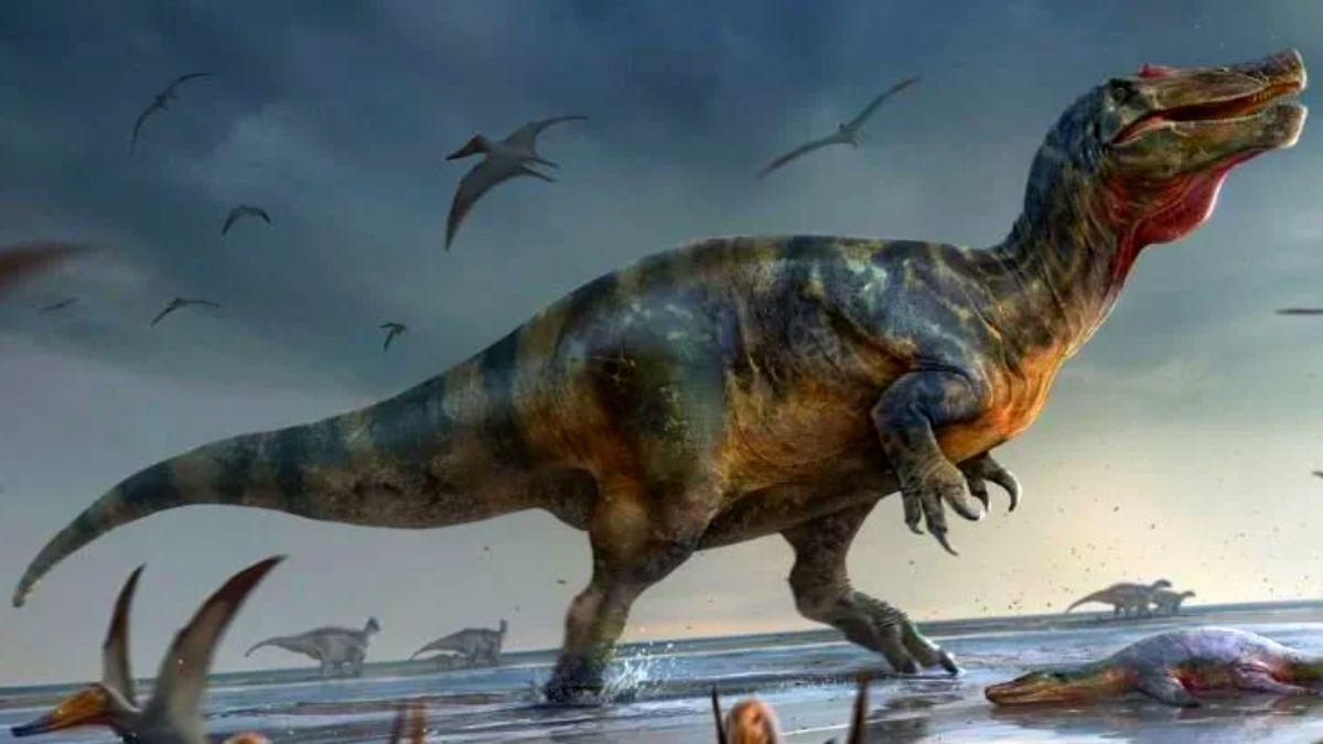 طوله 10م ووزنه عدة أطنان...العثور على أكبر ديناصور مفترس في أوروبا في جزيرة وايت!