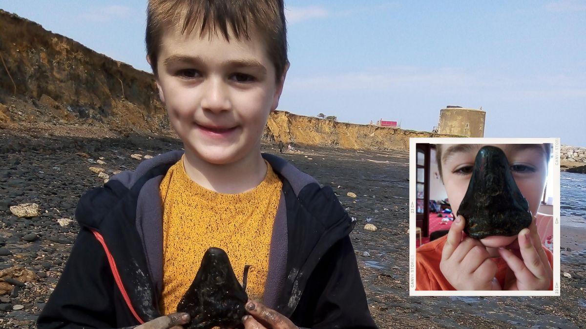 طفل صغير يعثر على كنز ثمين عمره 3 ملايين سنة على الشاطئ!