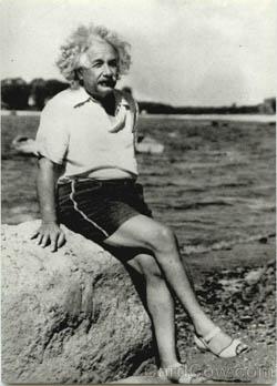 ألبرت أينشتاين (1879 – 1955)