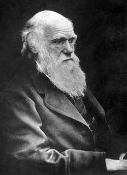العلماء المؤثرون - تشارلز داروين (1809 – 1882)