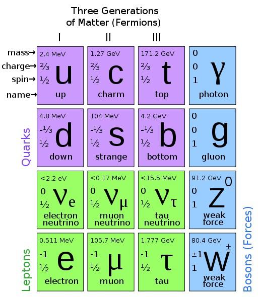 مصطلحات فيزيائية - أنواع الجسيمات الأساسية