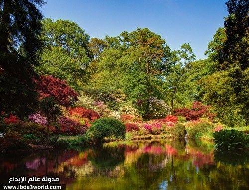 حدائق إكسبوري – هامبشاير - إنجلترا