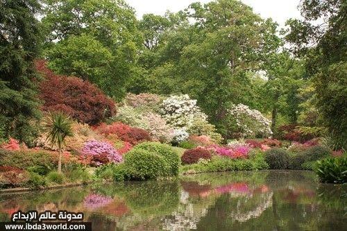 حدائق إكسبوري – هامبشاير - إنجلترا