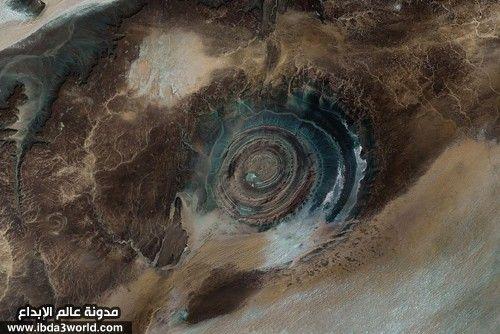 تكوين الريشات – موريتانيا