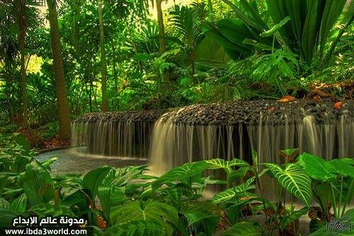 حدائق سنغافورة النباتية - سنغافورة