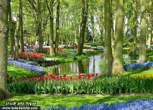حدائق كوكينهوف – هولندا