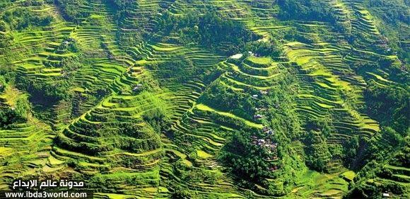 مُدرجات مزارع الأرز في الفلبين: أعجوبة الدنيا الثامنة!