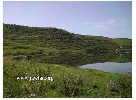 الجولان