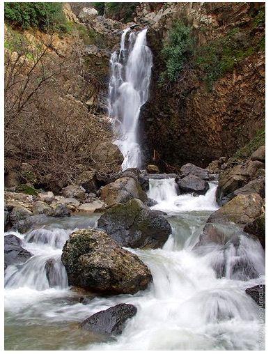 الجولان
