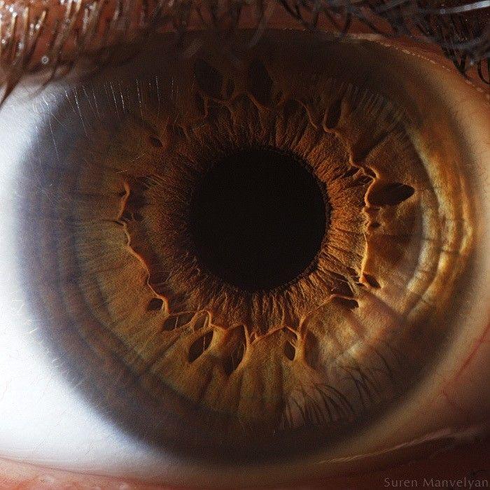 صورة مقربة للعين البشرية