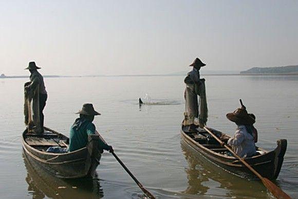 الصيادون ودولفين إيراوادي
