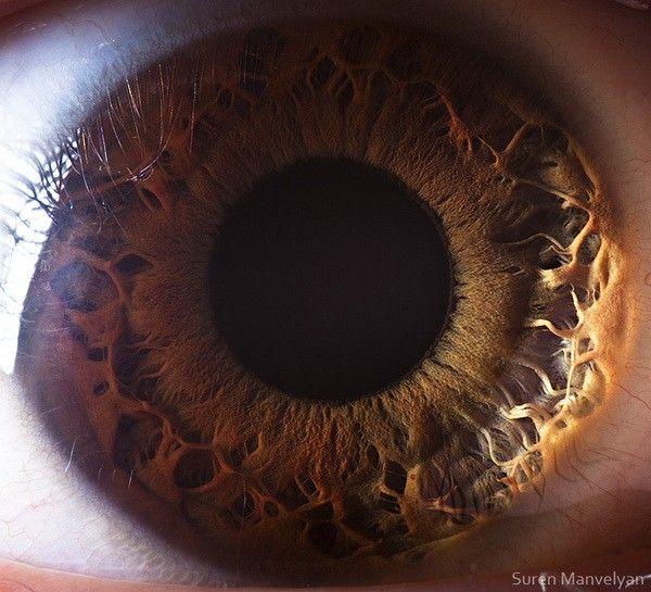 صورة مقربة للعين البشرية