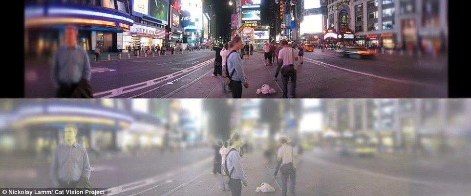 article-2462559-18C362E700000578-719_964x403