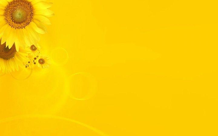 high-resolution-and-highquality-desktop-wallpapers-colour-photo-yellow-hd-wallpaper