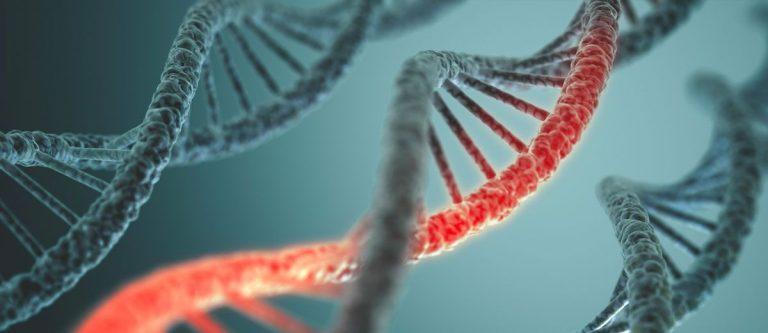 علماء أمريكيون ينتجون لأول مرة خلية حيّة بحمض نووي صناعي !