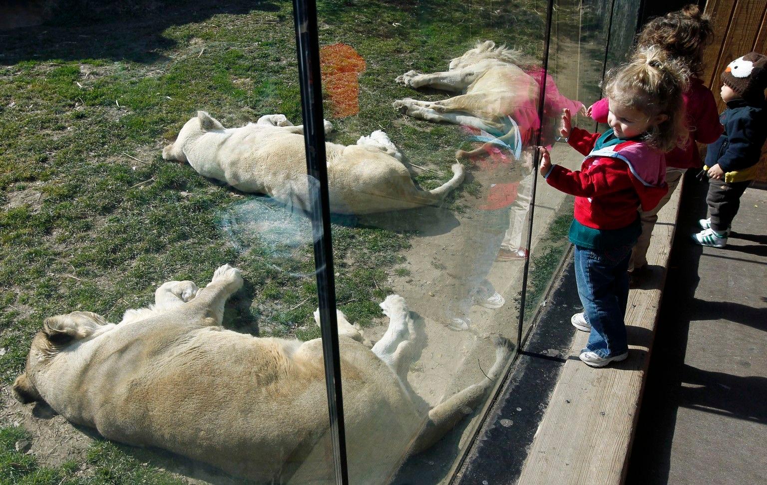 حدائق حيوان في أمريكا