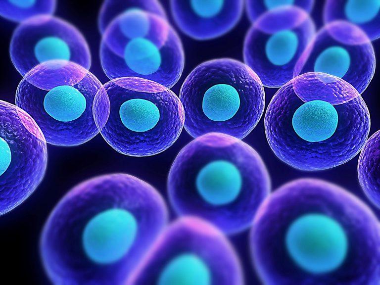 10 حقائق مثيرة لا تعرفها عن الخلايا الحيّة!
