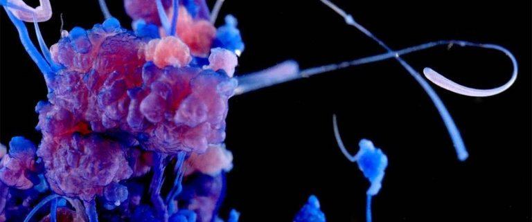 رومانسية الكيمياء: صور مبهرة و ألوان قوس قزح نتيجة تفاعل مركّبات كيميائية!