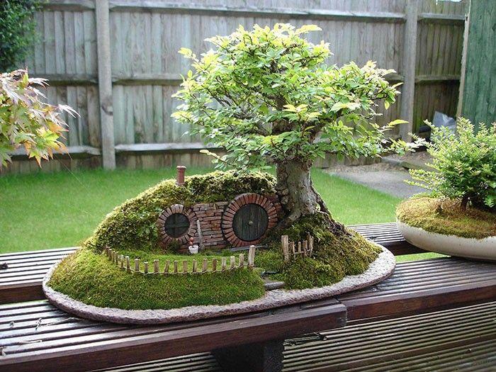 amazing-bonsai-trees-31-5710fa291dd89__700