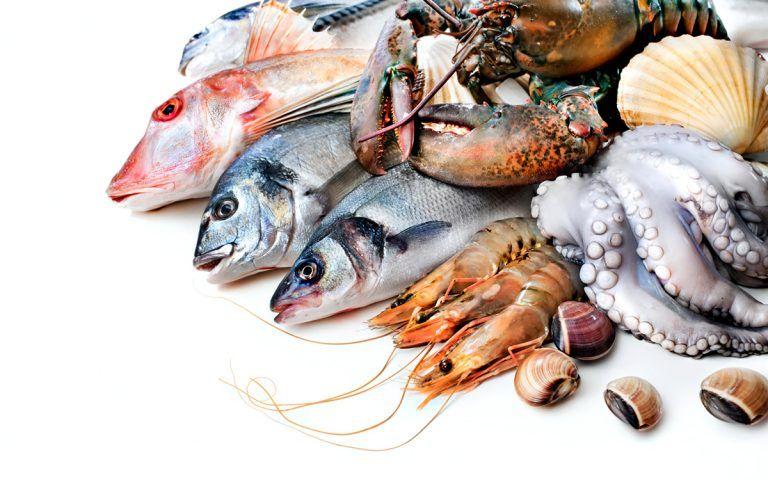 ضرها أكبر من نفعها: 9 أنواع من السمك يجب عليك عدم تناولها!