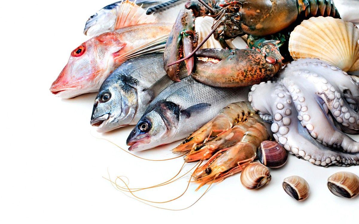 توظيف بالضبط سخيف  الأسماك السامة.. 9 أنواع من السمك يجب عليك عدم تناولها!