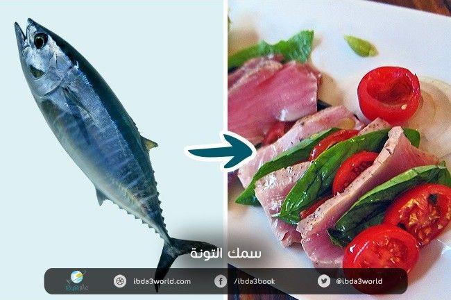 سمك التونة
