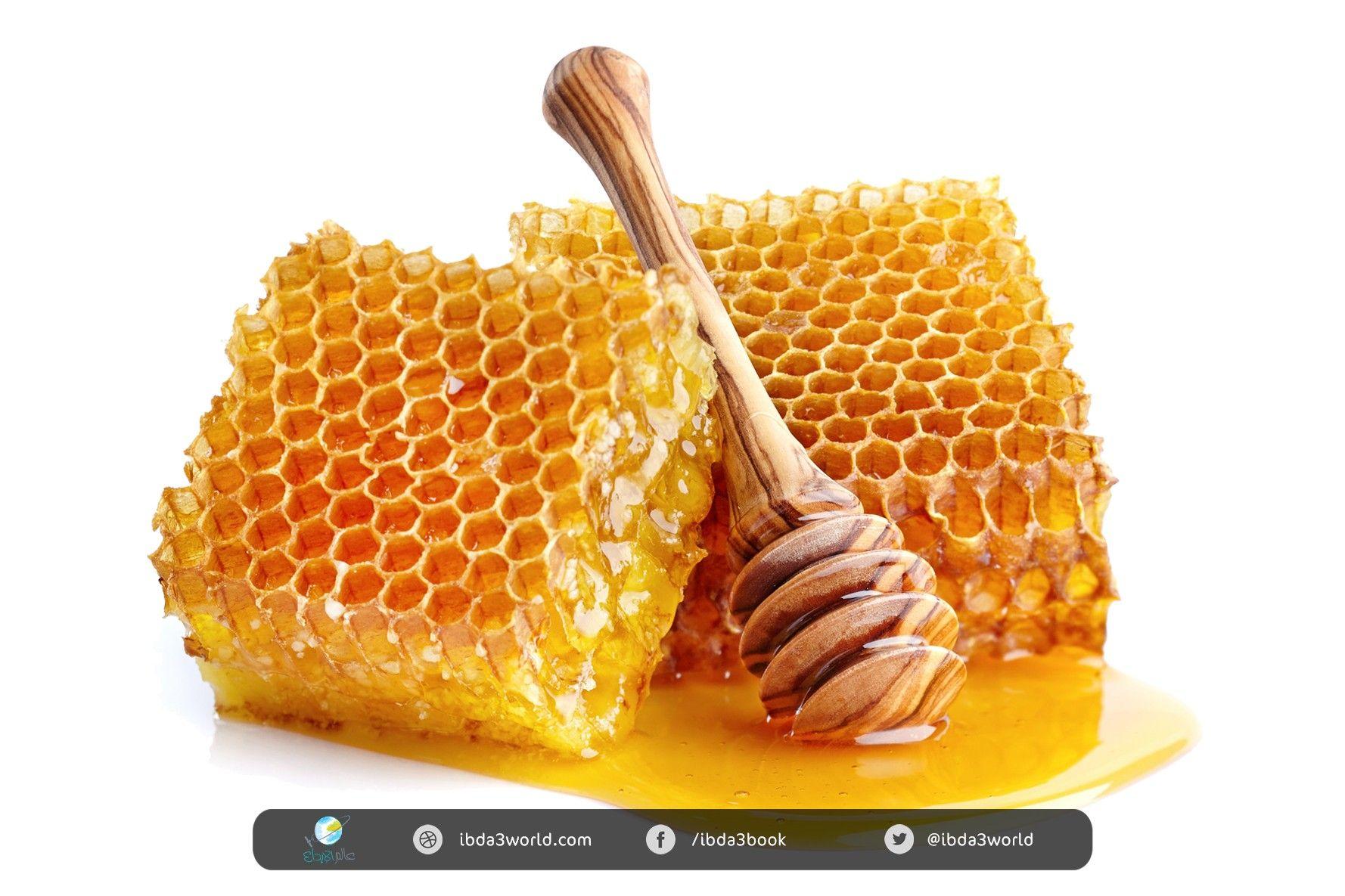 العسل الطبيعي شهد العسل