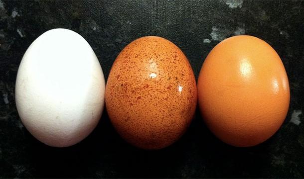 20 حقيقة لا تعرفها عن بريطانيا