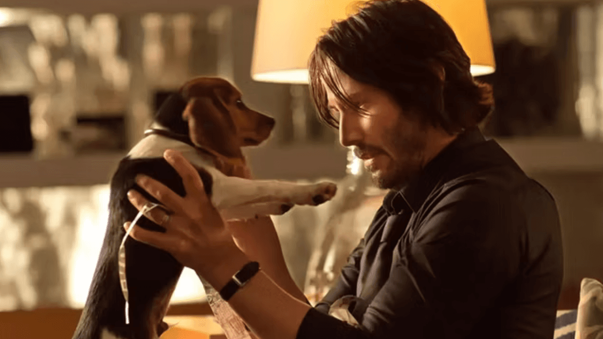 John Wick producer Explains Why 1 Shot From First Movie Is Franchise’s Most Important arageek