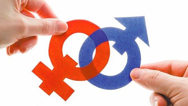 tmp_26058-%d8%a7%d9%84%d8%b1%d8%ba%d8%a8%d8%a9-%d8%a7%d9%84%d8%ac%d9%86%d8%b3%d9%8a%d8%a9-708588876