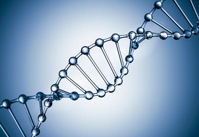 الحلزون المزدوج شريط DNA