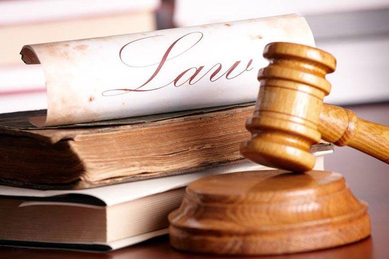 ما الفرق بين القانون العضوي والقانون العادي؟