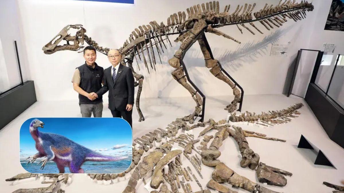 اكتشاف أحفورة تعود لنوع جديد من الديناصورات عاش قبل 72 مليون سنة!