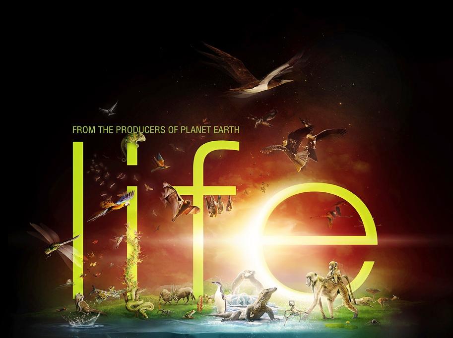 افضل المسلسلات الوثائقية - Life