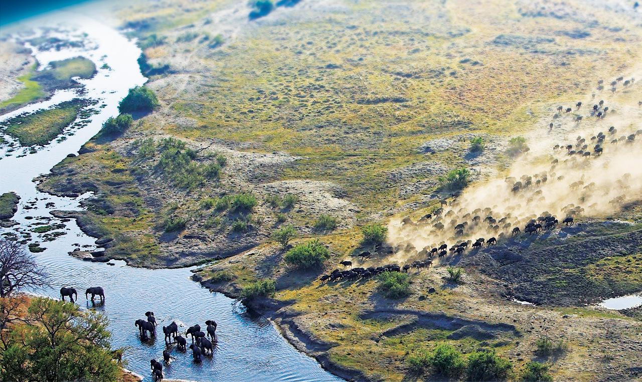 افضل المسلسلات الوثائقية - Planet Earth